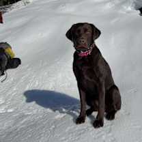 Thumbnail photo of Lylla #2