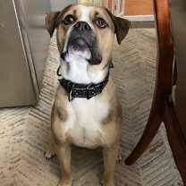 Thumbnail photo of Mark #3