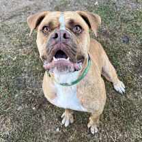 Thumbnail photo of Hank #2