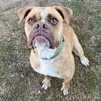 Thumbnail photo of Hank #4