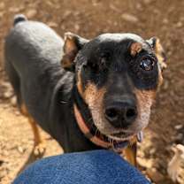 Thumbnail photo of HOOK #2