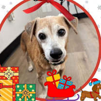 Thumbnail photo of Jimbo #1