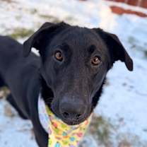 Thumbnail photo of Printa #1