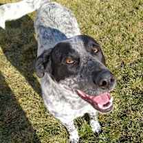 Thumbnail photo of Frosty #1