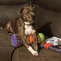 Thumbnail photo of Lilith #1