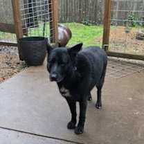 Thumbnail photo of Bruno and Bonnie #2