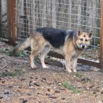 Thumbnail photo of Bruno and Bonnie #3