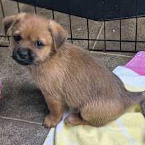 Thumbnail photo of Axel #3