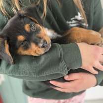 Thumbnail photo of Rachel #3