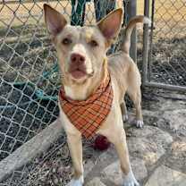 Thumbnail photo of Raffi #1