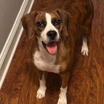 Thumbnail photo of Lucille  #1