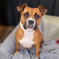 Thumbnail photo of Martha May #1