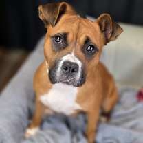 Thumbnail photo of Martha May #4