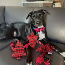 Thumbnail photo of Wayne #1