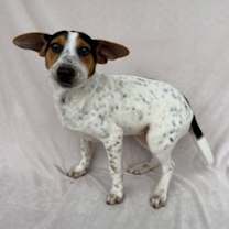 Thumbnail photo of Gilly #1