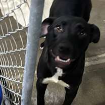 Thumbnail photo of Emmy 111D25 #2