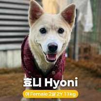 Thumbnail photo of Hyoni #4