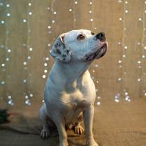 Thumbnail photo of Marianne #1