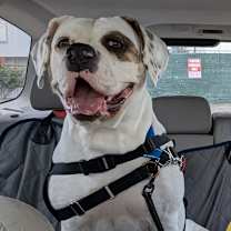 Thumbnail photo of Marianne #3