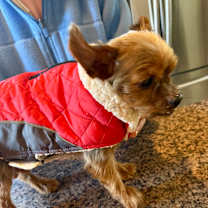 Thumbnail photo of Max #2