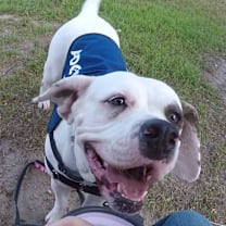 Thumbnail photo of Marianne #4