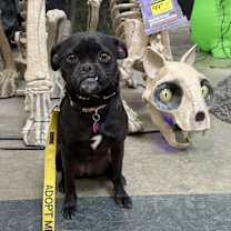 Thumbnail photo of Loca #3