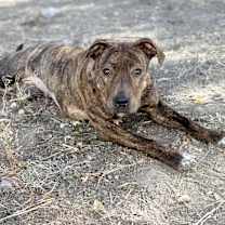 Thumbnail photo of Kaylynn #3