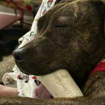 Thumbnail photo of Kaylynn #4