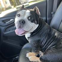 Thumbnail photo of King #1