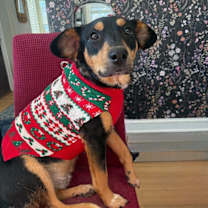 Thumbnail photo of Terry #1