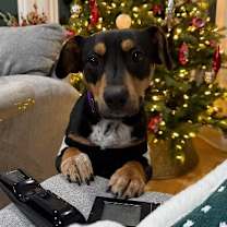 Thumbnail photo of Terry #2