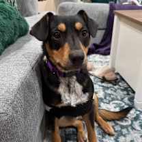 Thumbnail photo of Terry #3