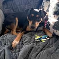 Thumbnail photo of Terry #4