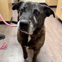 Thumbnail photo of Bernie #1