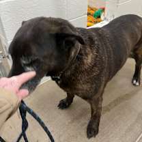 Thumbnail photo of Bernie #2