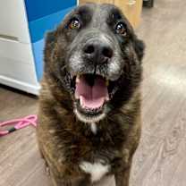 Thumbnail photo of Burt #1