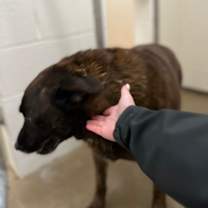 Thumbnail photo of Burt #2