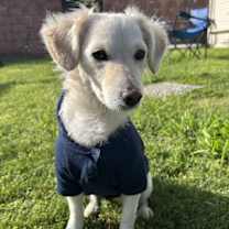 Thumbnail photo of Lady Elizabeth #1