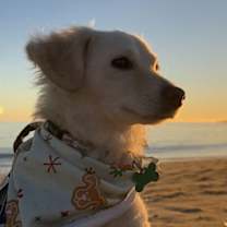 Thumbnail photo of Lady Elizabeth #2