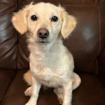 Thumbnail photo of Lady Elizabeth #4