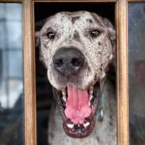 Thumbnail photo of Luna #2