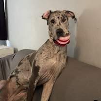 Thumbnail photo of Luna #3