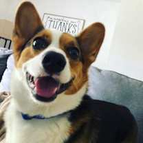 Thumbnail photo of Linus #1