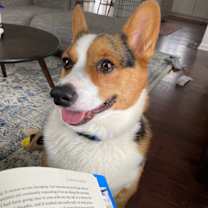 Thumbnail photo of Linus #3