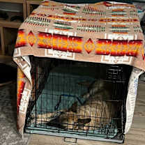 Thumbnail photo of Lucky #2