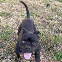 Thumbnail photo of Hoover #2