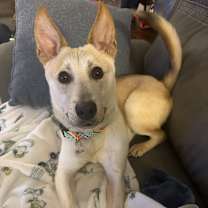 Thumbnail photo of Rocket #1