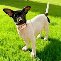 Thumbnail photo of 940 (2025) Suzie #1