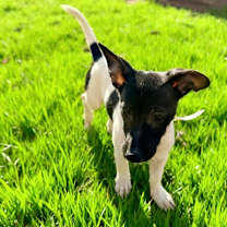 Thumbnail photo of 940 (2025) Suzie #3