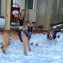 Thumbnail photo of Timber #3